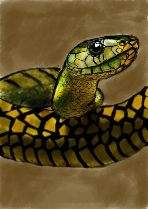 Snake - Digital Painting by xDome on DeviantArt