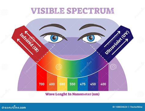 Visible Spectrum Vector Illustration Diagram, Color Scheme from Infrared To Ultraviolet Color ...