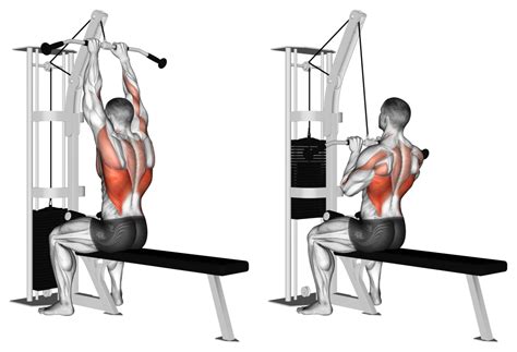 Close Grip Lat Pulldown vs Wide Grip: Equipment, Mechanics, and More - Inspire US