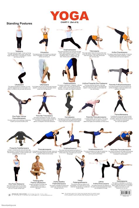 Names For Yoga Poses - Work Out Picture Media - Work Out Picture Media