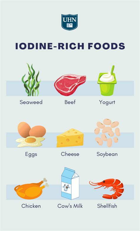 Iodine Rich Foods Chart