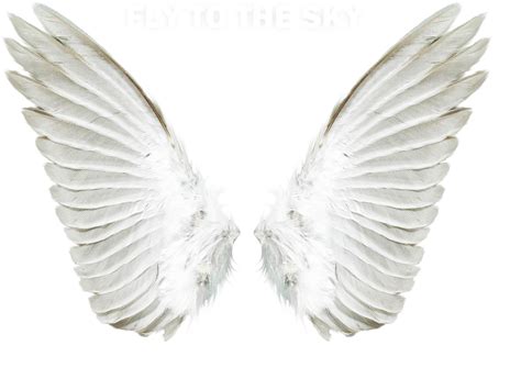 Angel Clip art - Angel wings png download - 2417*1760 - Free ...