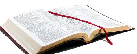 open bible PNG transparent image download, size: 1050x418px