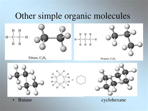 PPT - Organic Molecules - The Building Blocks of Life PowerPoint Presentation - ID:442659