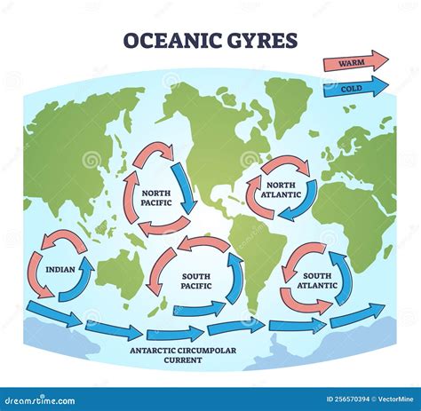 Oceanic Gyres As Large Circulating Ocean Water Currents Outline Diagram ...