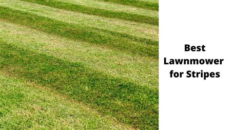 Best Lawn Mower To Make Stripes | Southsea Greenhouse