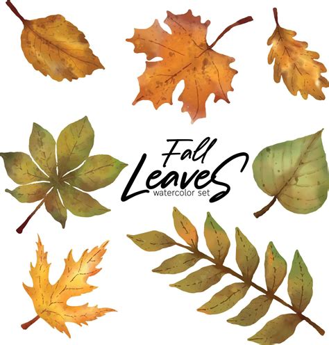 Fall Leaves watercolor set 12715266 Vector Art at Vecteezy