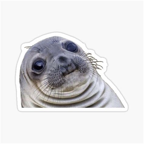 "seal meme" Sticker for Sale by Joe Holt | Redbubble