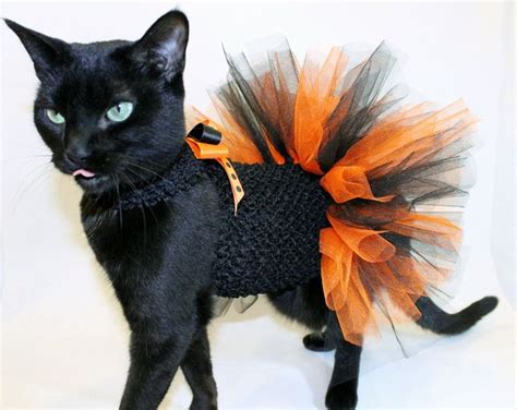 CoolCats Orange and Black Halloween Costume Tutu for cats | Cat halloween costume, Pet halloween ...