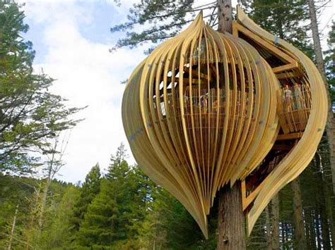 Awesome Tree House Building Tips, How To Create - HomesCorner.Com