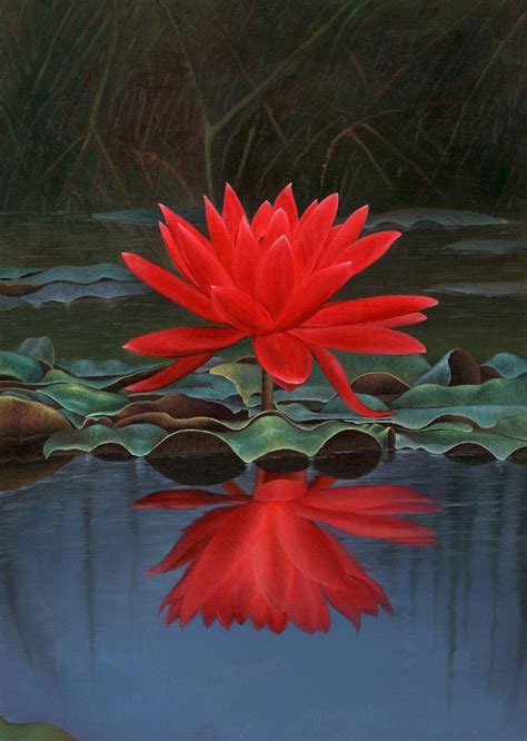 Red Lotus Flower Wallpapers - Wallpaper Cave