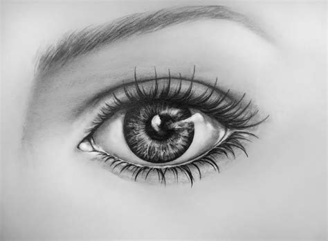 How to Draw Eyes | Eye drawing, Realistic drawings, Eye drawing simple