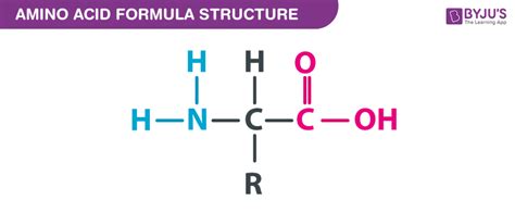 Amino Acid Formula - Chemical Formula Of Amino Acid On BYJU'S