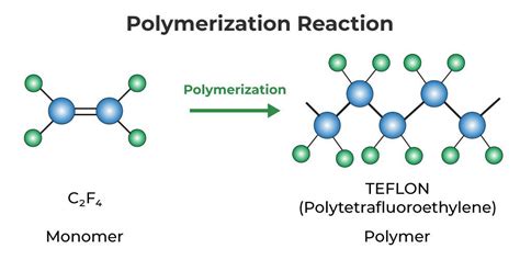 Polymerization Mechanism