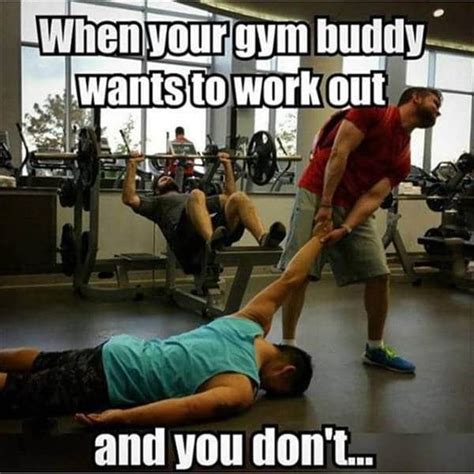 65 Funny Gym Quotes and Sayings Of All Time – DailyFunnyQuote