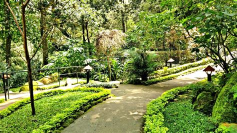 Tall Trees Resort - A Weekend Escapade in Munnar