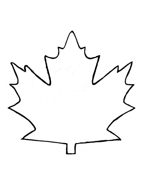 Maple Leaf Template Free Printable - ClipArt Best