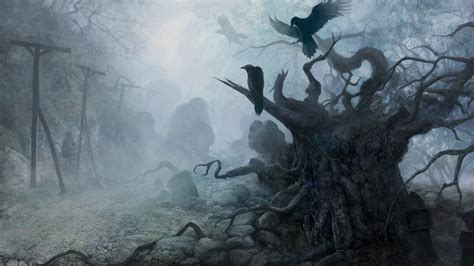 Scary Forest Wallpaper (57+ images)