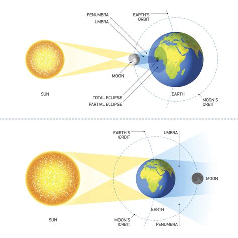 Guide to The Great American Solar Eclipse | Outdoor Life | themountaineer.com