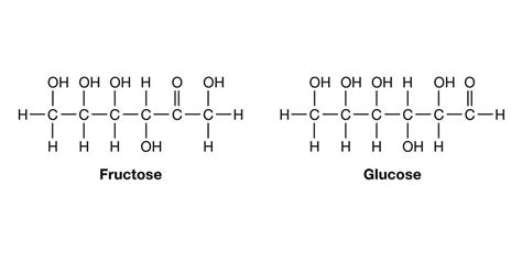 What Is The Chemical Composition Of Carbohydrates Lipids And Proteins | Makeupview.co