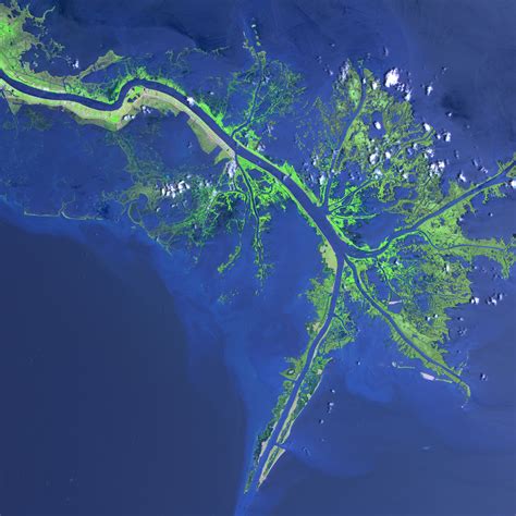 Mississippi River Delta : Image of the Day