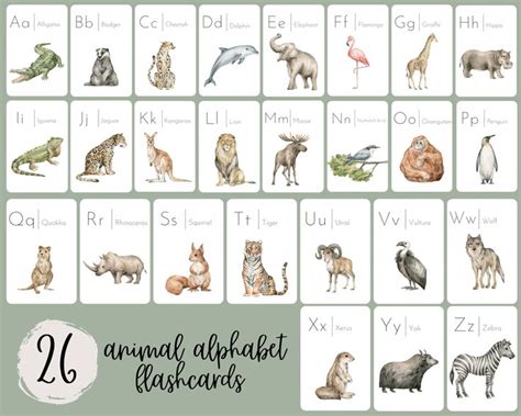 Printable Animal Alphabet Flashcards Alphabet Flashcards - Etsy in 2022 | Animal alphabet ...