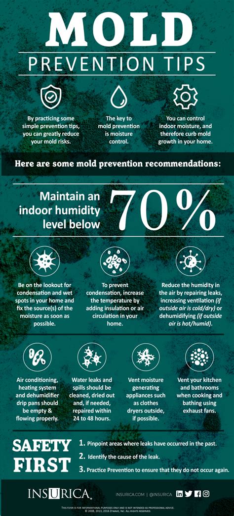 Mold Prevention Tips for Your Home - INSURICA