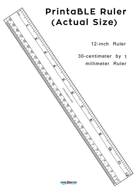 12 Printable Ruler 6 Inch