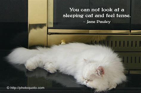 Quotes On Sleeping Cat - Wall Rates