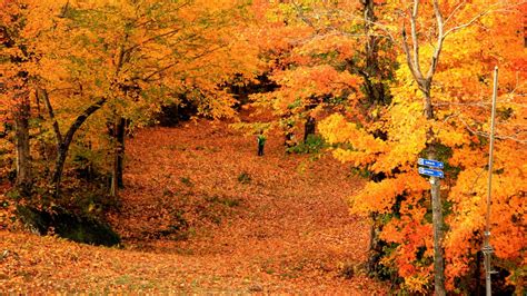 Top Spots for Fall Foliage | Eastern Townships (Quebec)