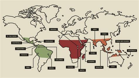 Coffee Growing Regions - A Comprehensive Guide