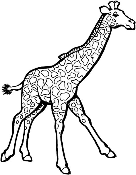 Cute Coloring Pages Of Baby Giraffes