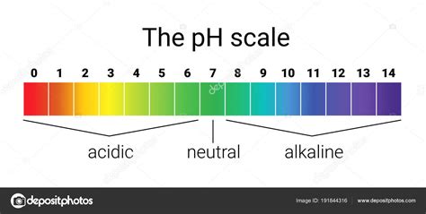 Ph scale. infographic acid-base balance. scale for chemical analysis ...