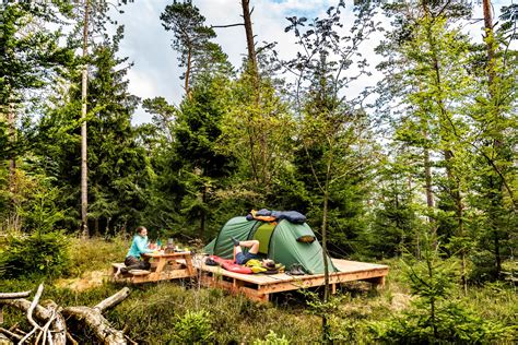 Forest Camping Tent : Forest Green Heavy Waterproof Tent For Camping Rs ...