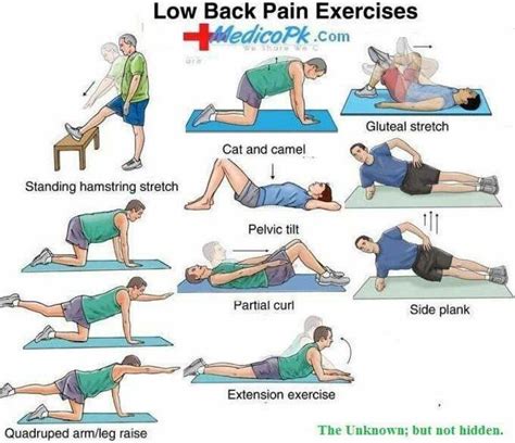 24 best Stretches To Relieve Lower Back Pain images on Pinterest | Lower backs, Exercises and ...