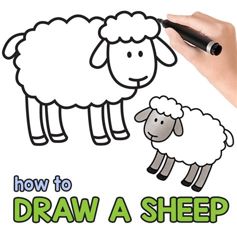 How to Attract a Sheep – Stage by Stage Sheep Drawing Tutorial - Mobitool