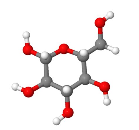 Basics of Carbohydrates