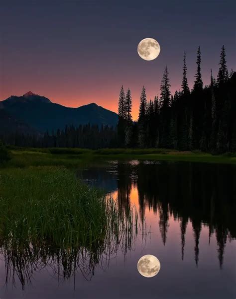 Full Moon In June 2024 Photography Tips - Elsie Carlene