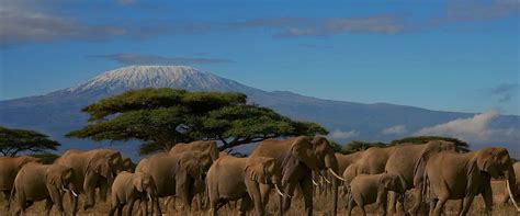 Mount Kilimanjaro National Park To Explore World’s Largest Volcanoes