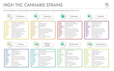 High THC Cannabis Strains - The Bud House :: Marijuana Dispensary