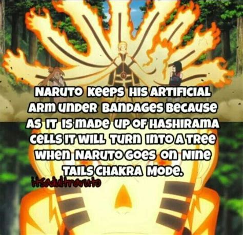 Naruto with Hashirama's cells | Naruto Amino