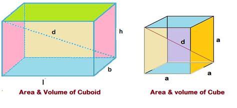 surface-area-volume-cuboid-cube-formulas-examples-allmathtricks - All Math Tricks