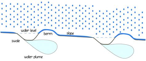 what is a swale | Permaculture, Rain water collection, Permaculture ...