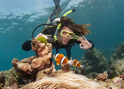 Hitting The Water Scuba Diving On The Great Barrier Reef, Cairns | Backpacker Banter