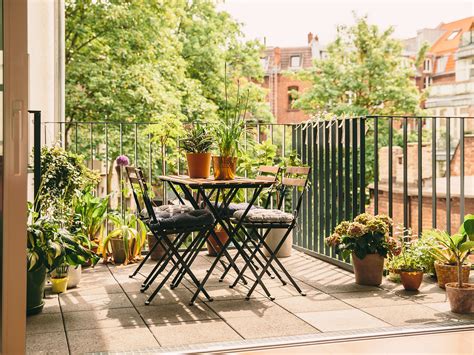 A Summer Survival Guide For Your Balcony Garden