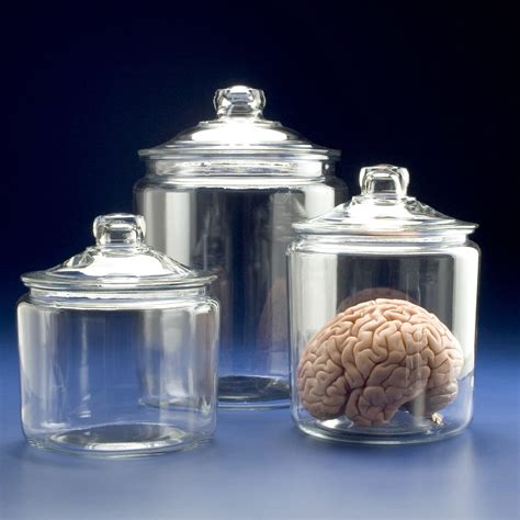 Glass Specimen Jars with Glass Lid -Brain Research Laboratories