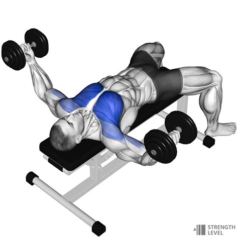 Dumbbell Fly Standards for Men and Women (kg) - Strength Level