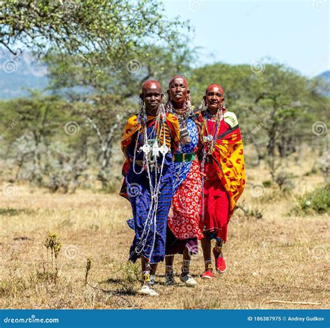 Masai Women in Traditional Clothing is Walking in the Savannah ...