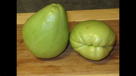 mexican squash chayote