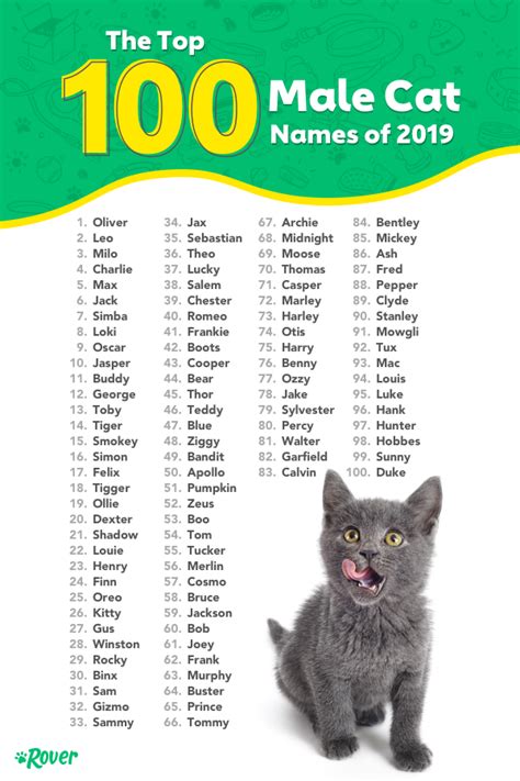 Unique Male Cat Names